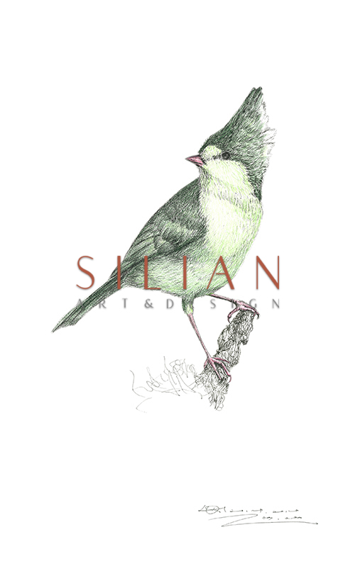 Birds Ⅲ