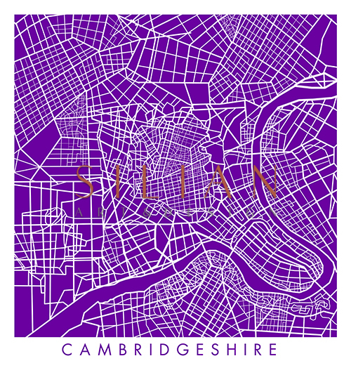 Purple Map