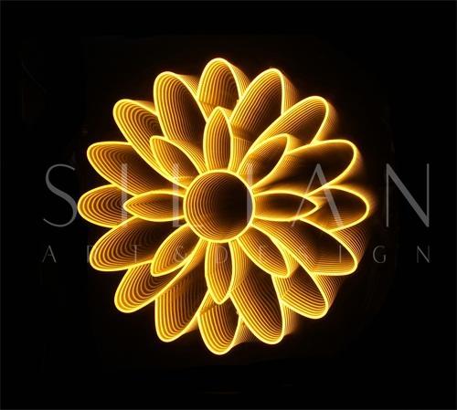 Flowers on Light I