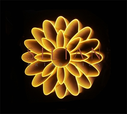 Flowers on Light I