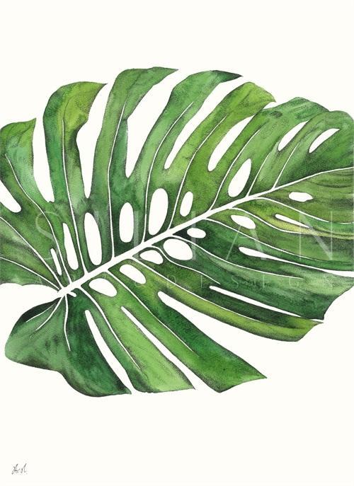 Palm Pieces I