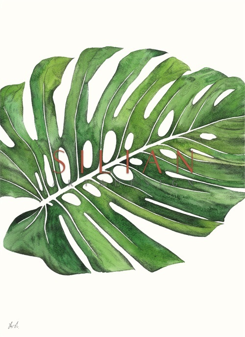 Palm Pieces I