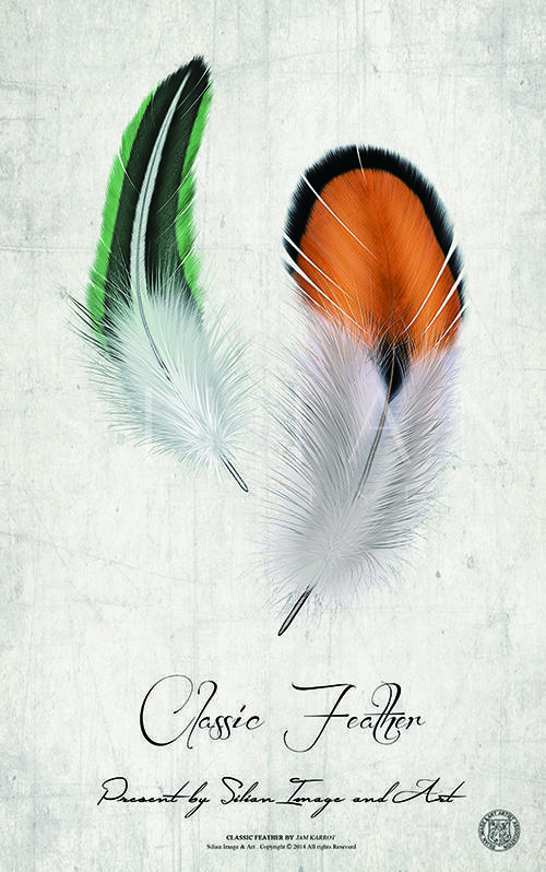 Classic Feather Ⅱ