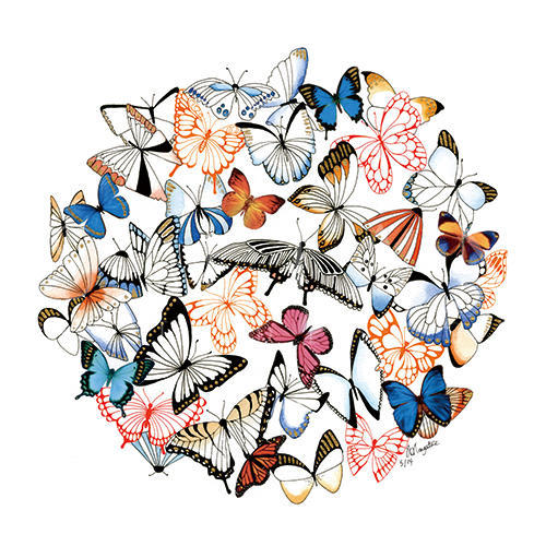 Fluttering Butterflies II