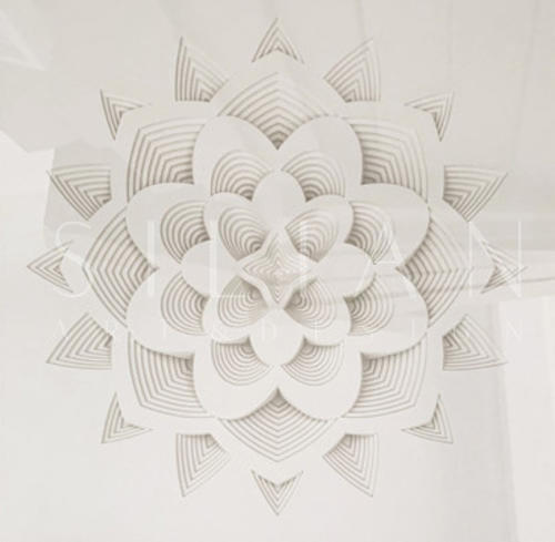 纯白的花朵 I