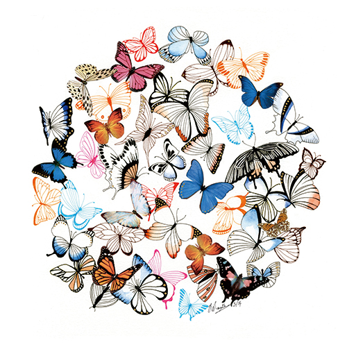 Fluttering Butterflies VII