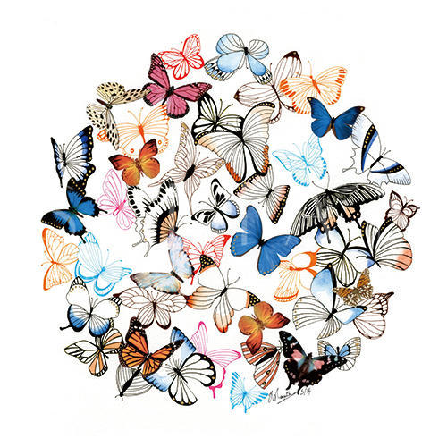 Fluttering Butterflies VII