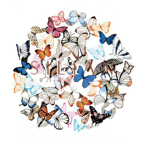 Fluttering Butterflies VII