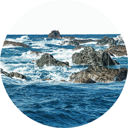 Ocean V