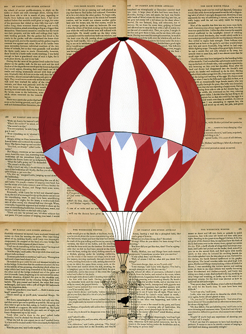 Colorful Hot Air Balloon VIII
