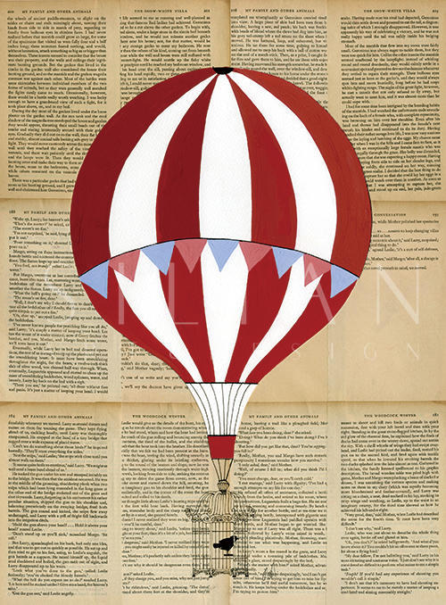 Colorful Hot Air Balloon VIII