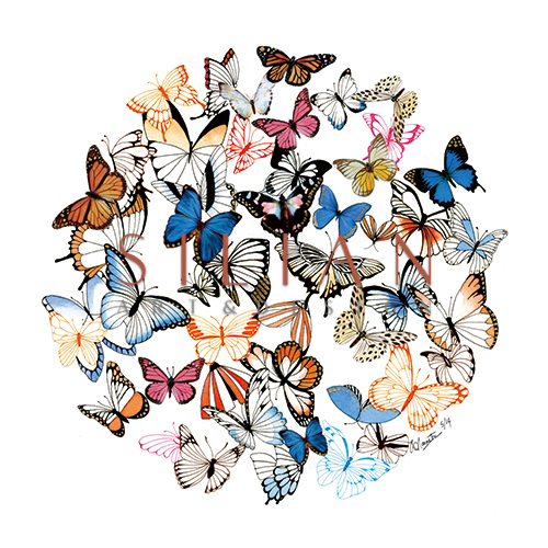 Fluttering Butterflies IV
