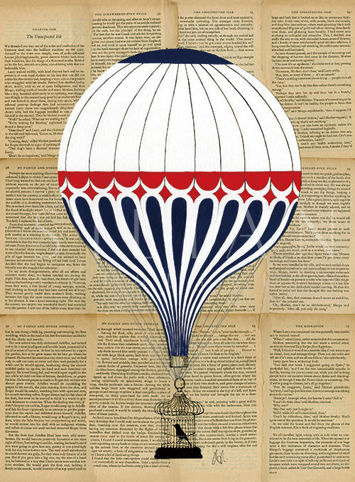 Colorful Hot Air Balloon VI