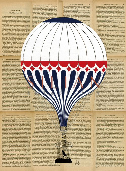 Colorful Hot Air Balloon VI
