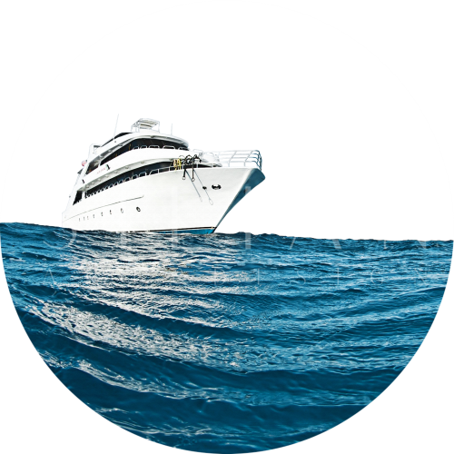 Ocean VIII