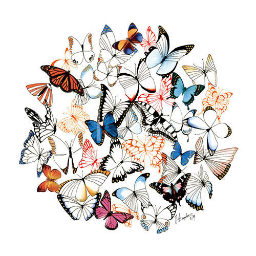 Fluttering Butterflies III