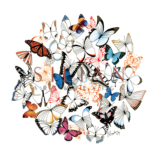Fluttering Butterflies III