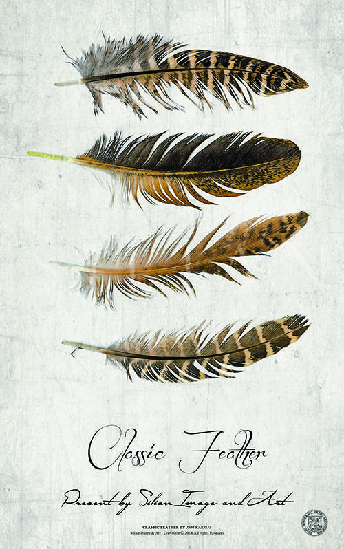 Classic Feather VII