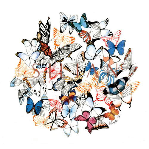Fluttering Butterflies VI