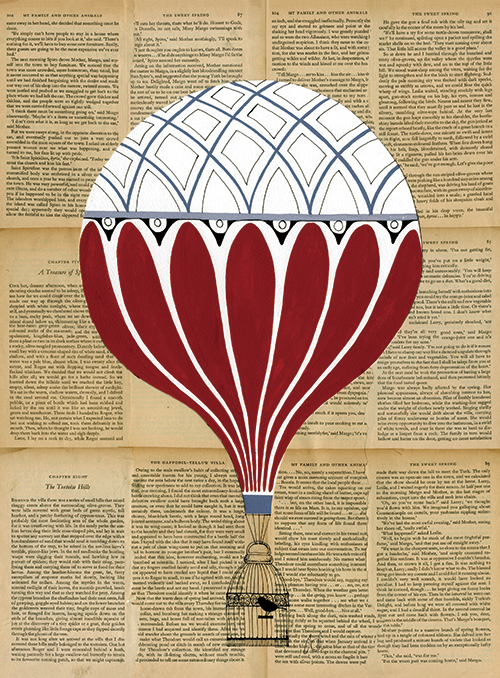 Colorful Hot Air Balloon V
