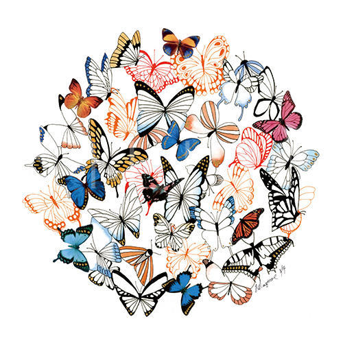Fluttering Butterflies I