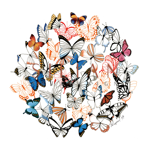 Fluttering Butterflies I