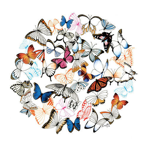 Fluttering Butterflies V
