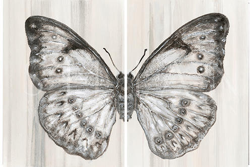 Butterfly Dreaming Ⅱ