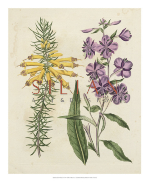 Flower Collection I
