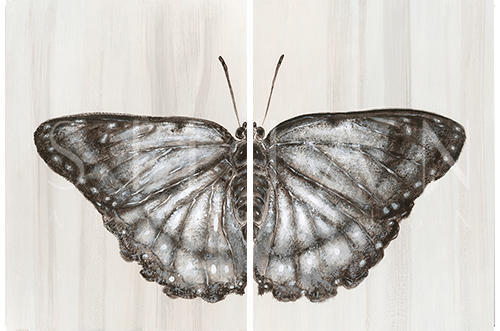 Butterfly Dreaming Ⅰ