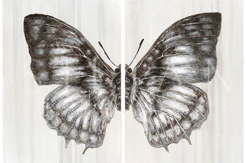 Butterfly Dreaming Ⅲ