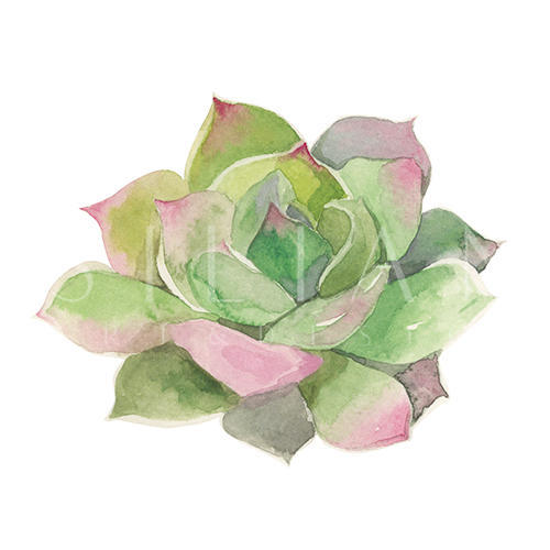 Springtime Ⅵ