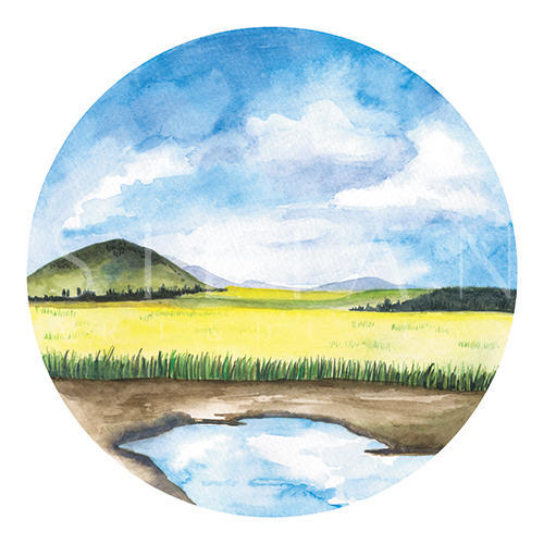 Springtime Ⅳ