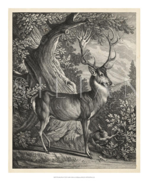 Woodland Deer I