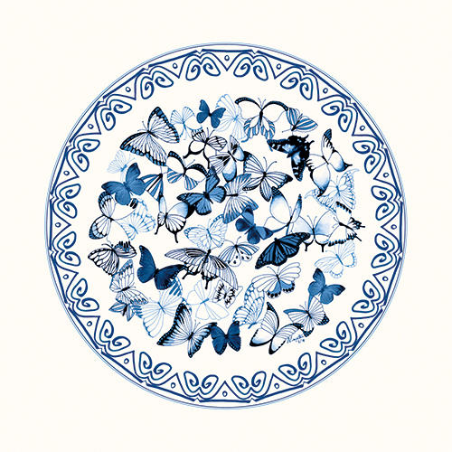 The Blue Butterfly Ⅳ