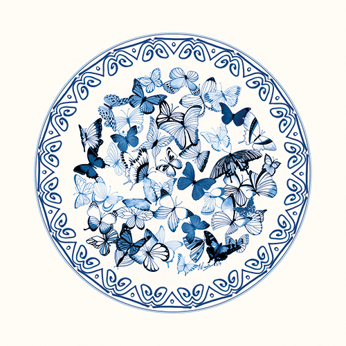 The Blue Butterfly Ⅱ