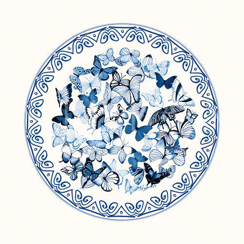 The Blue Butterfly Ⅱ