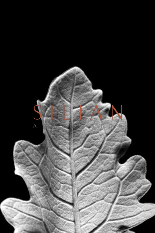 Striking Leaf IV