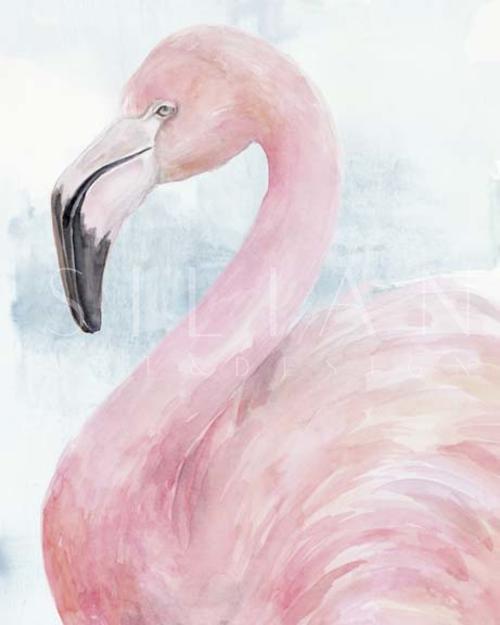 Pink Flamingo Portrait II