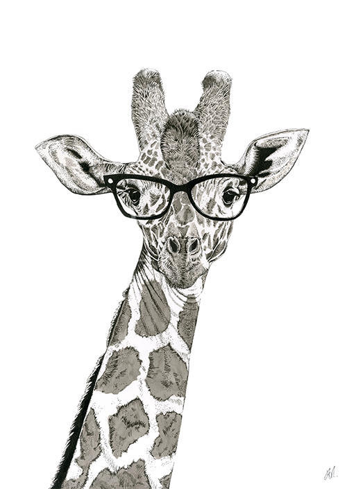 Funny Animals I