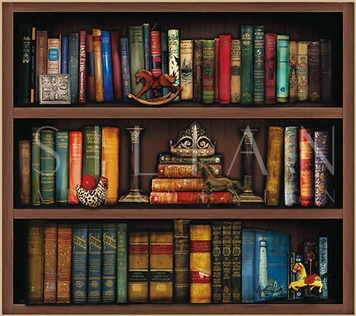 Interesting Bookcase
