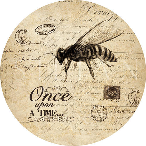 Insect Collection Ⅴ