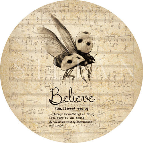 Insect Collection Ⅱ