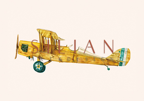 Vintage Aircraft Ⅵ