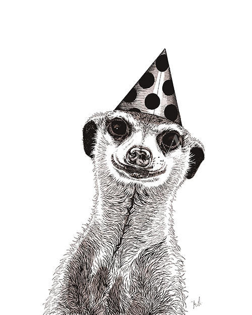 Funny Animals II