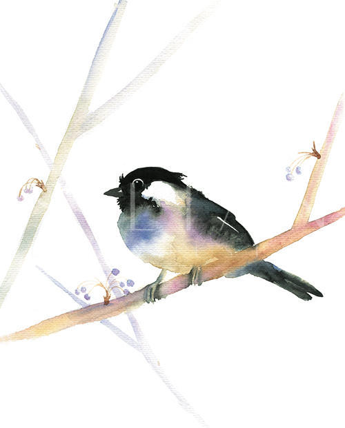 A Fresh Spring Morning Ⅳ
