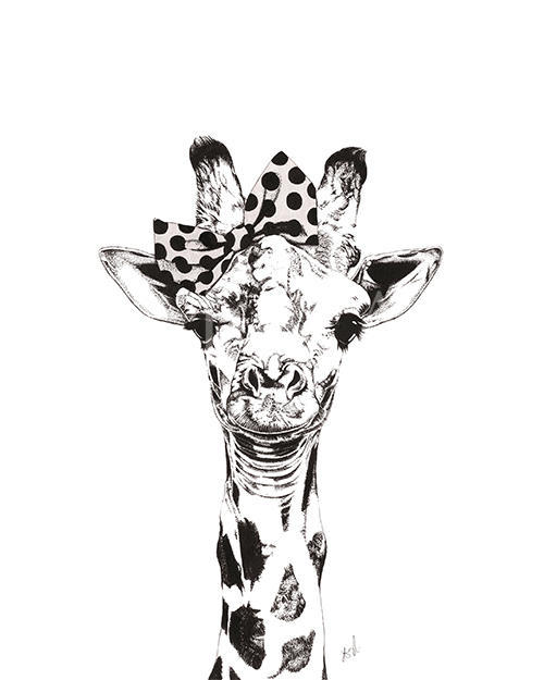 Funny Animals II