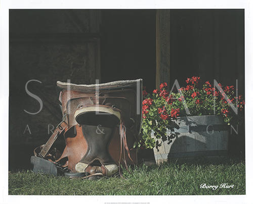 Saddle Still Life (Color)