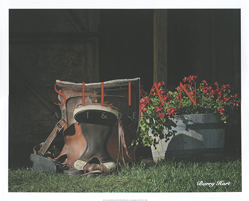 Saddle Still Life (Color)