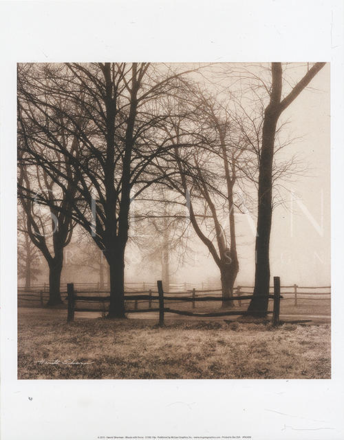 Woods with Fence